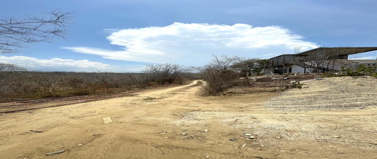 Foto de terreno habitacional en venta en  , san pedro pochutla centro, san pedro pochutla, oaxaca, 0 No. 03