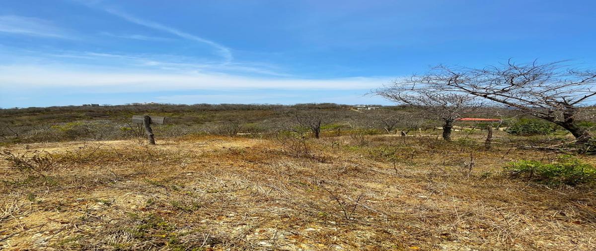 Foto de terreno habitacional en venta en  , san pedro pochutla centro, san pedro pochutla, oaxaca, 0 No. 04