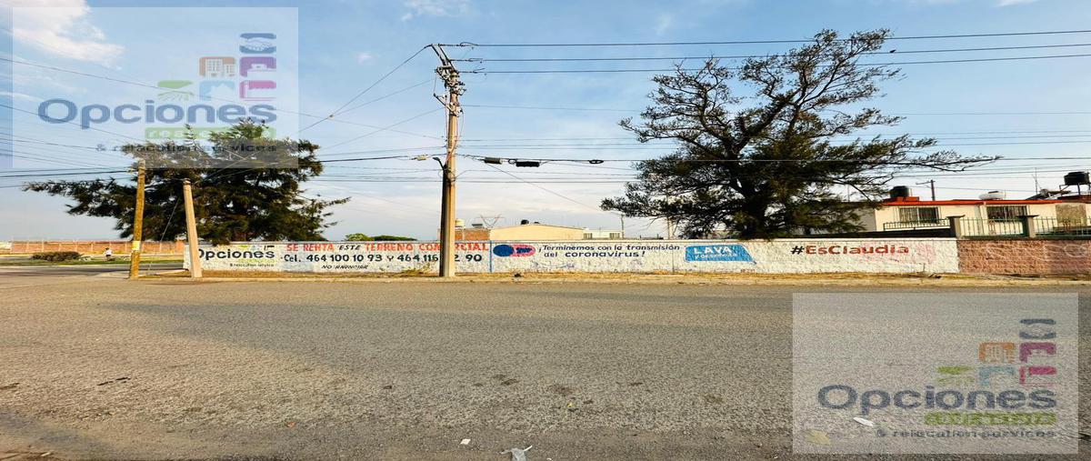 Foto de terreno habitacional en renta en  , san pedro, salamanca, guanajuato, 26676257 No. 04