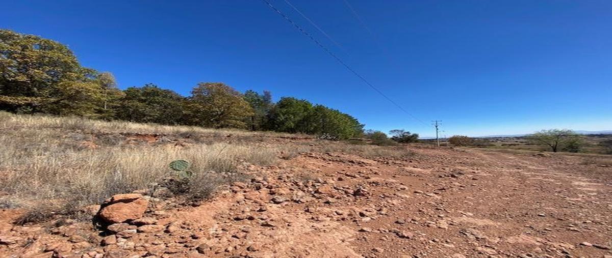 Foto de terreno habitacional en venta en  , san pedro tenango, amealco de bonfil, querétaro, 26489104 No. 05