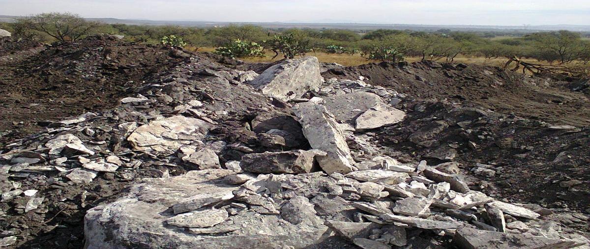 Foto de terreno industrial en venta en  , san pedro tenango, apaseo el grande, guanajuato, 0 No. 04