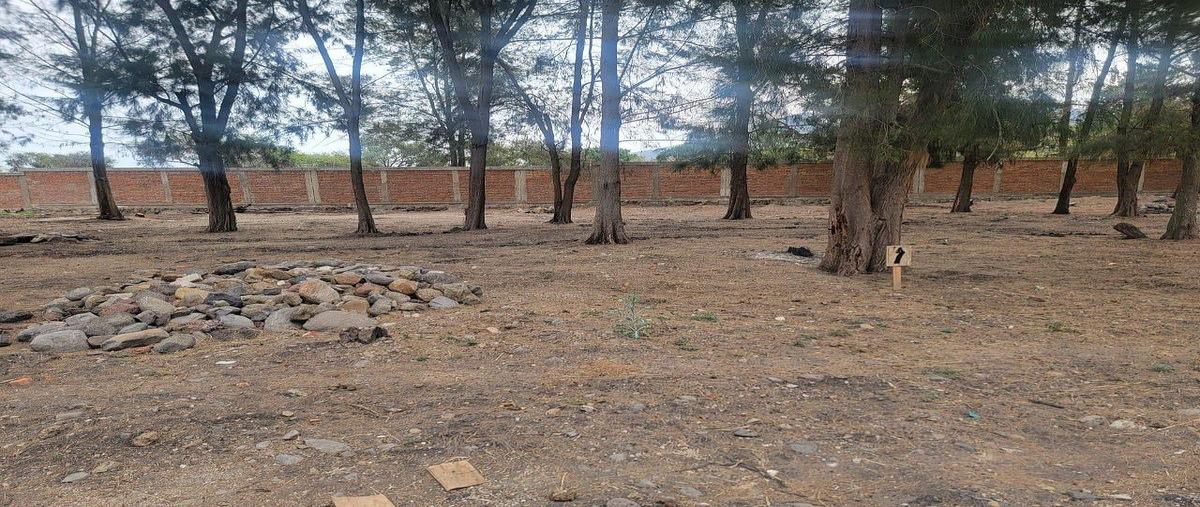 Foto de terreno habitacional en , san pedro tesistán, jocotepec, jalisco, 0 foto 03 Foto de terreno habitacional en venta en , san pedro tesistán, jocotepec, jalisco, 0 No. 03