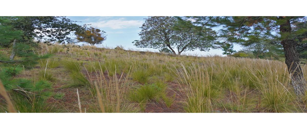 Foto de terreno habitacional en venta en  , san pedro tlachichilco, acaxochitlán, hidalgo, 0 No. 03