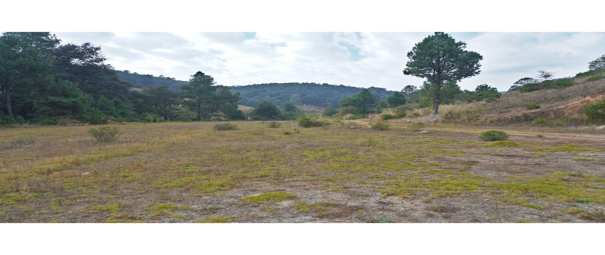 Foto de terreno habitacional en venta en  , san pedro tlachichilco, acaxochitlán, hidalgo, 0 No. 04