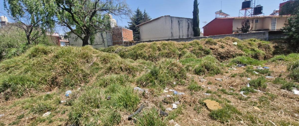 Foto de terreno habitacional en venta en  , san pedro totoltepec, toluca, méxico, 0 No. 04