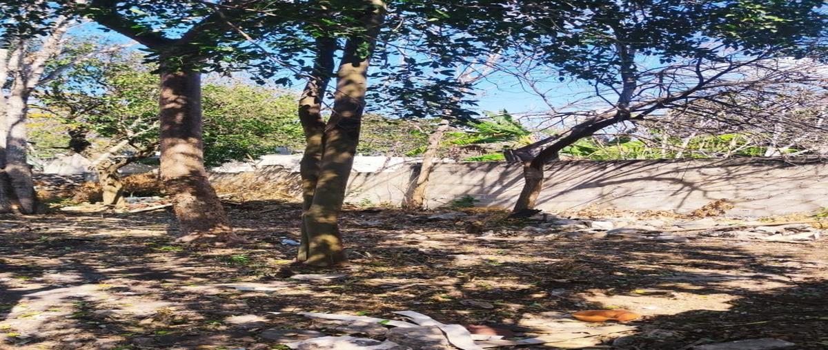 Foto de terreno habitacional en venta en  , san pedro uxmal, mérida, yucatán, 28199844 No. 03