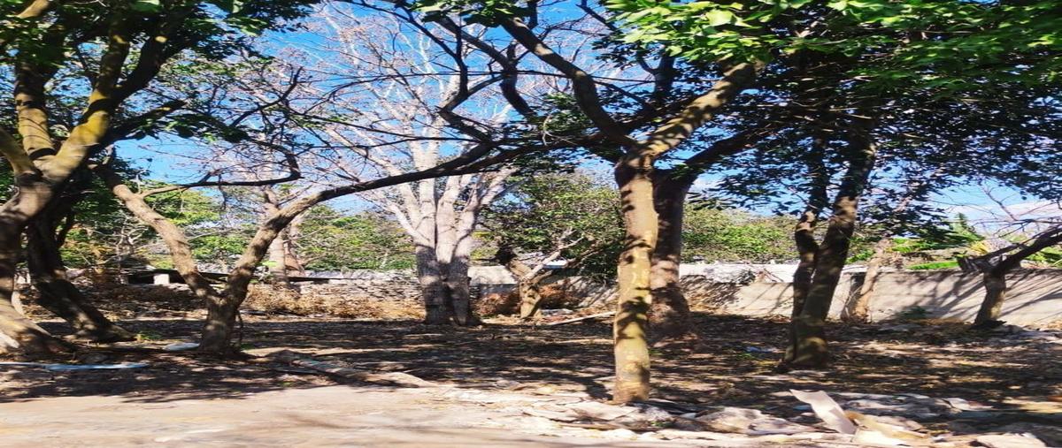 Foto de terreno habitacional en venta en  , san pedro uxmal, mérida, yucatán, 28199844 No. 05