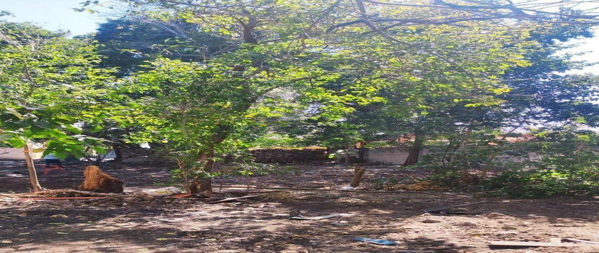 Foto de terreno habitacional en venta en  , san pedro uxmal, mérida, yucatán, 28199848 No. 05