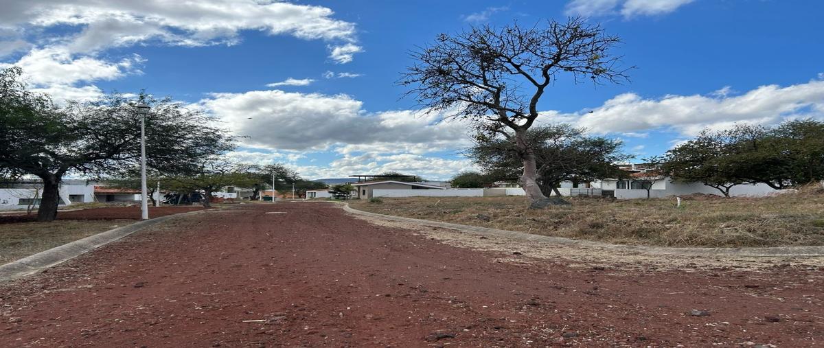 Foto de terreno habitacional en venta en  , san pedro valencia, acatlán de juárez, jalisco, 0 No. 05