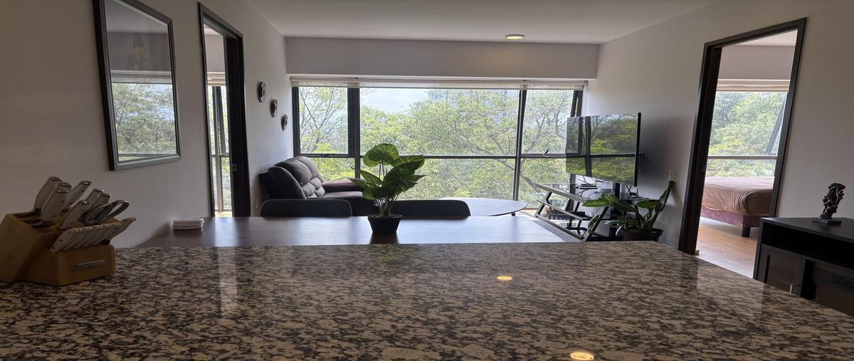 Foto de departamento en venta en san pedto de los pinos , san pedro de los pinos, álvaro obregón, df / cdmx, 0 No. 02