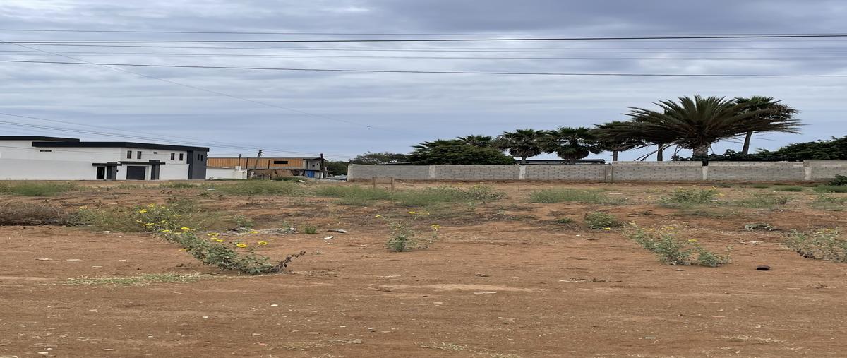 Foto de terreno habitacional en , san quintín, san quintín, baja california, 0 foto 02 Foto de terreno habitacional en venta en , san quintín, san quintín, baja california, 0 No. 02