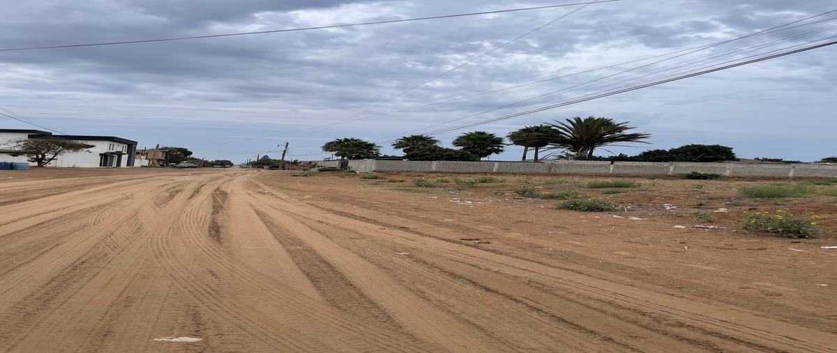 Foto de terreno habitacional en , san quintín, san quintín, baja california, 0 foto 03 Foto de terreno habitacional en venta en , san quintín, san quintín, baja california, 0 No. 03