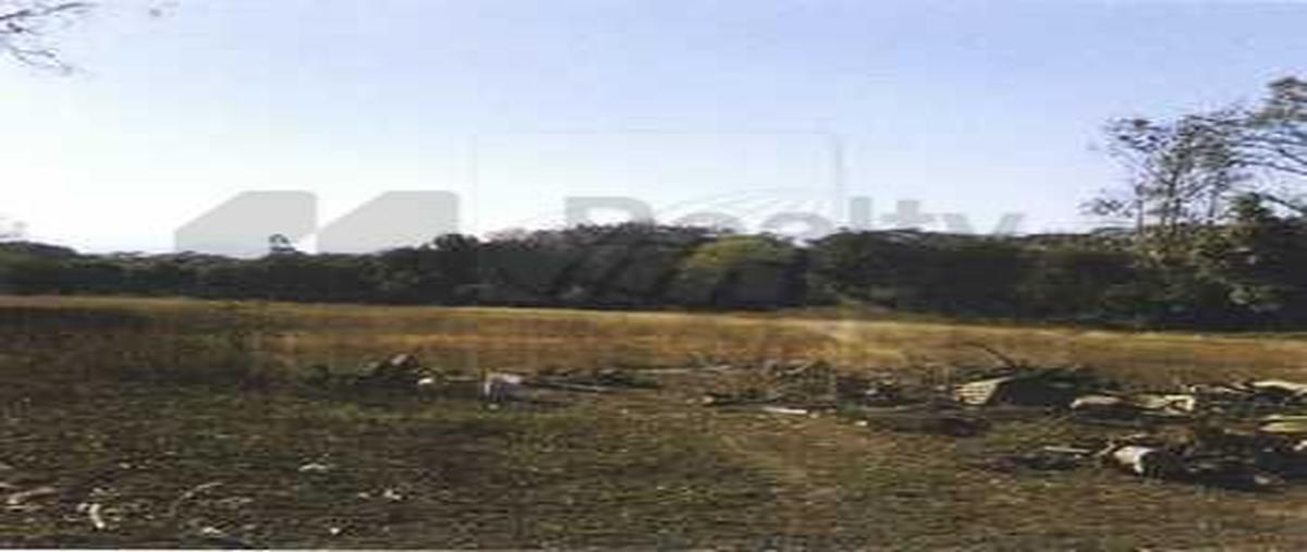 Foto de terreno habitacional en venta en  , san rafael, cadereyta jiménez, nuevo león, 0 No. 05