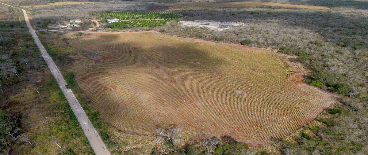 Foto de terreno habitacional en venta en san rafael , campo de aviación, hopelchén, campeche, 30059456 No. 03