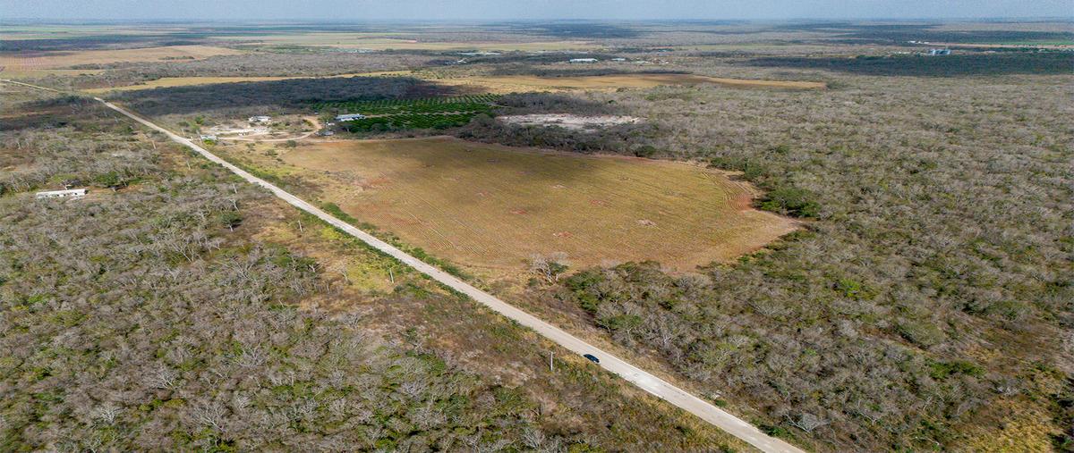 Foto de terreno habitacional en venta en san rafael , campo de aviación, hopelchén, campeche, 30059456 No. 04