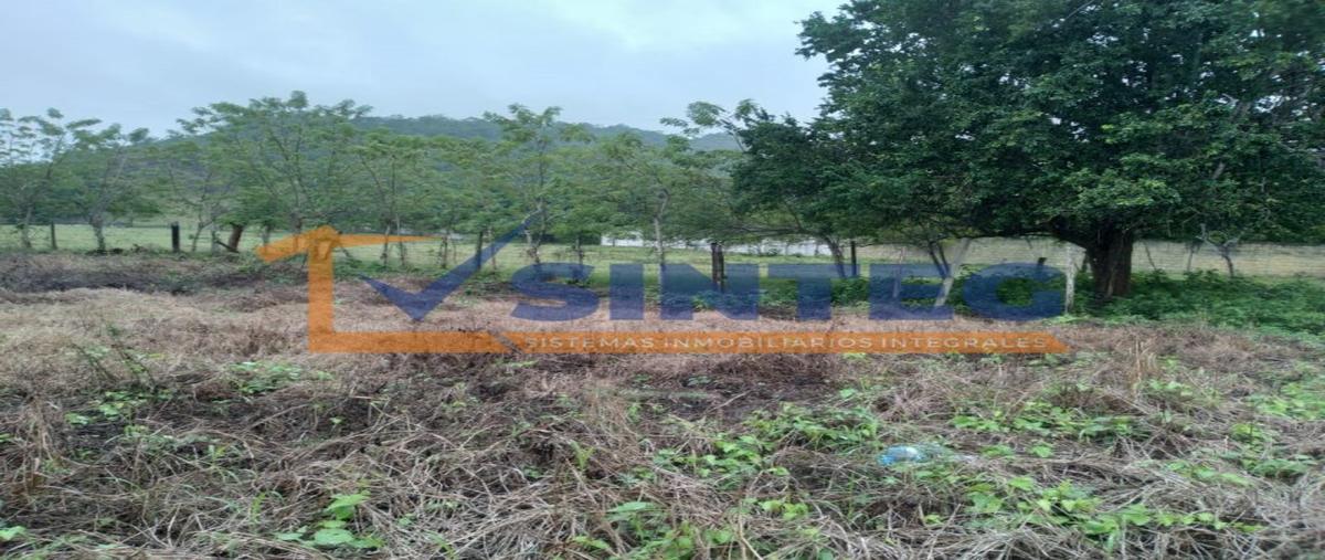 Foto de terreno habitacional en , san rafael, coatzintla, veracruz de ignacio de la llave, 0 foto 05 Foto de terreno habitacional en venta en , san rafael, coatzintla, veracruz de ignacio de la llave, 0 No. 05