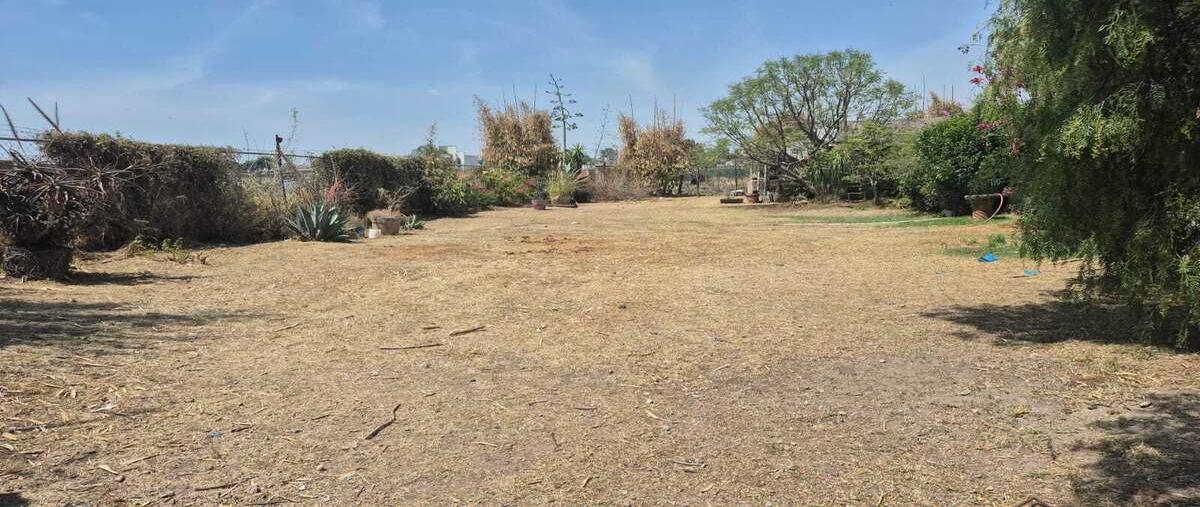 Foto de terreno habitacional en venta en  , san rafael comac, san andrés cholula, puebla, 0 No. 01