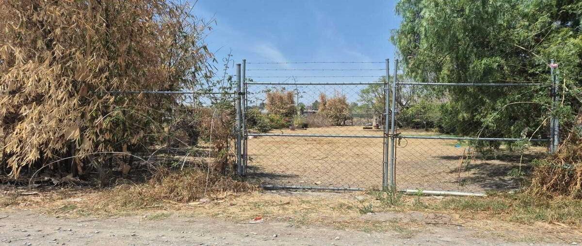 Foto de terreno habitacional en venta en  , san rafael comac, san andrés cholula, puebla, 0 No. 05