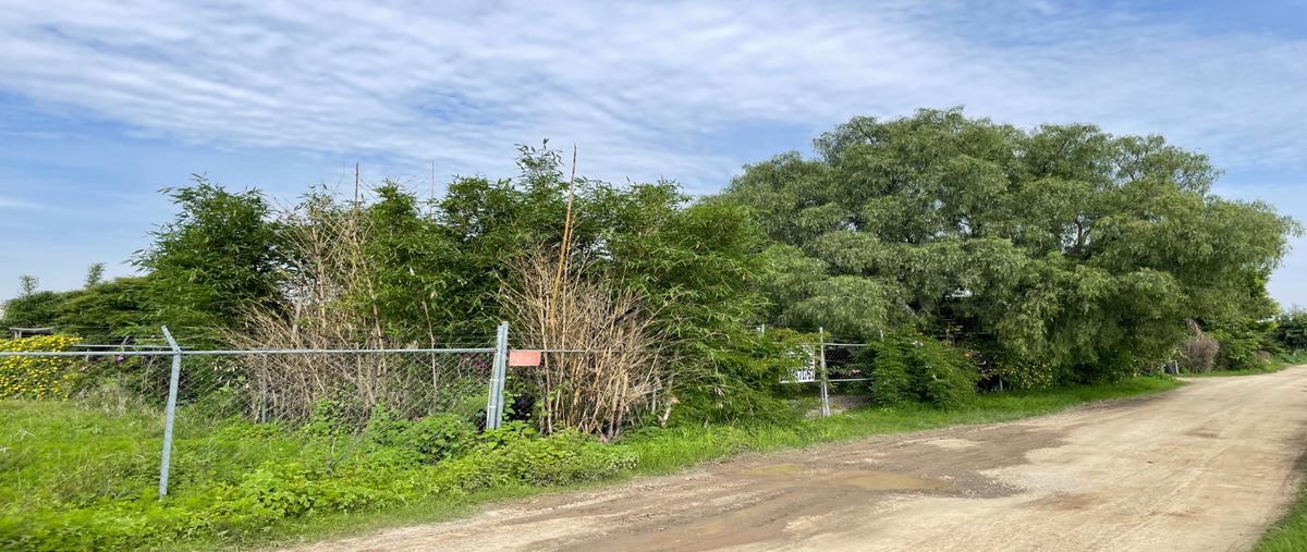 Foto de terreno habitacional en venta en  , san rafael comac, san andrés cholula, puebla, 30136781 No. 01