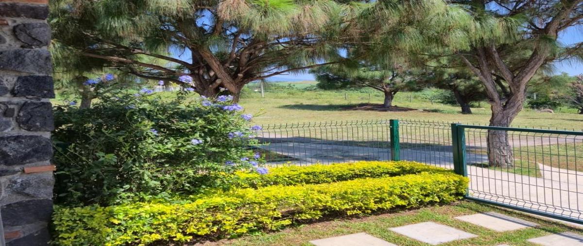 Foto de terreno habitacional en venta en  , san rafael, cuauhtémoc, colima, 30544043 No. 04