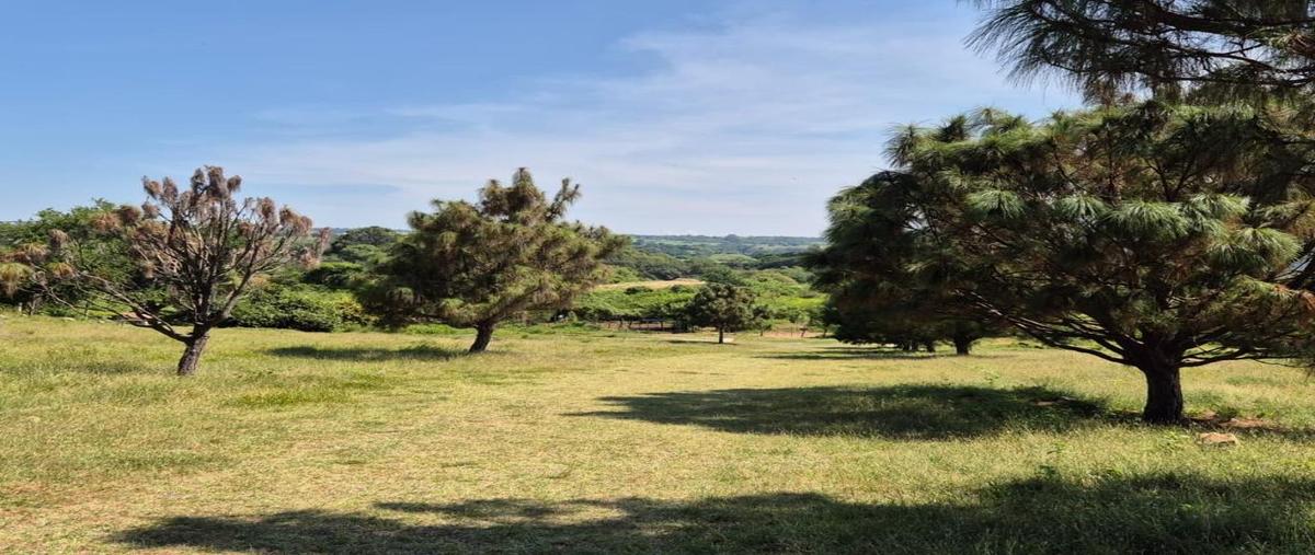 Foto de terreno habitacional en venta en  , san rafael, cuauhtémoc, colima, 30887045 No. 03