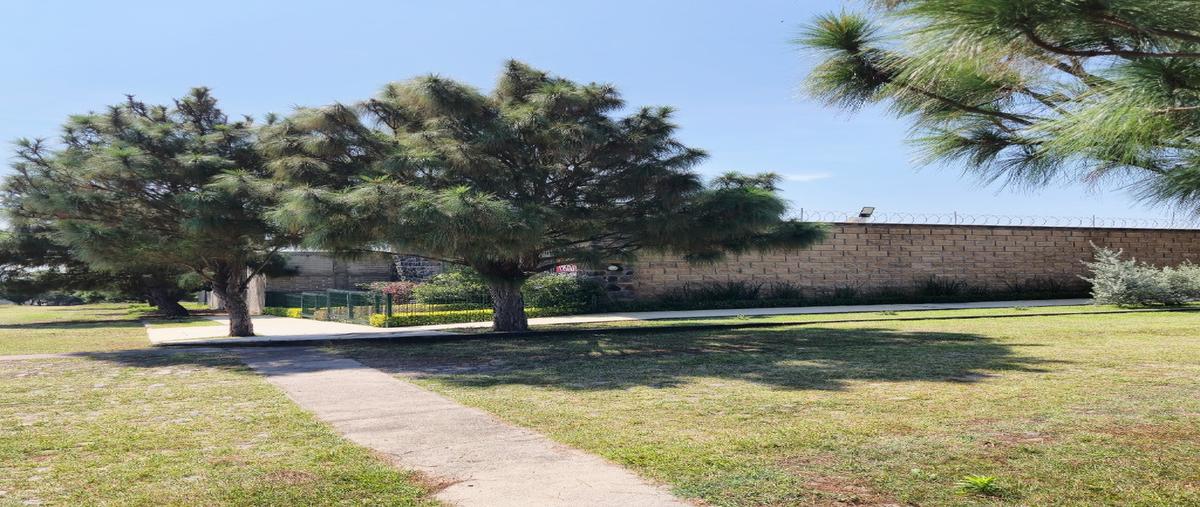 Foto de terreno habitacional en venta en  , san rafael, cuauhtémoc, colima, 30887045 No. 04