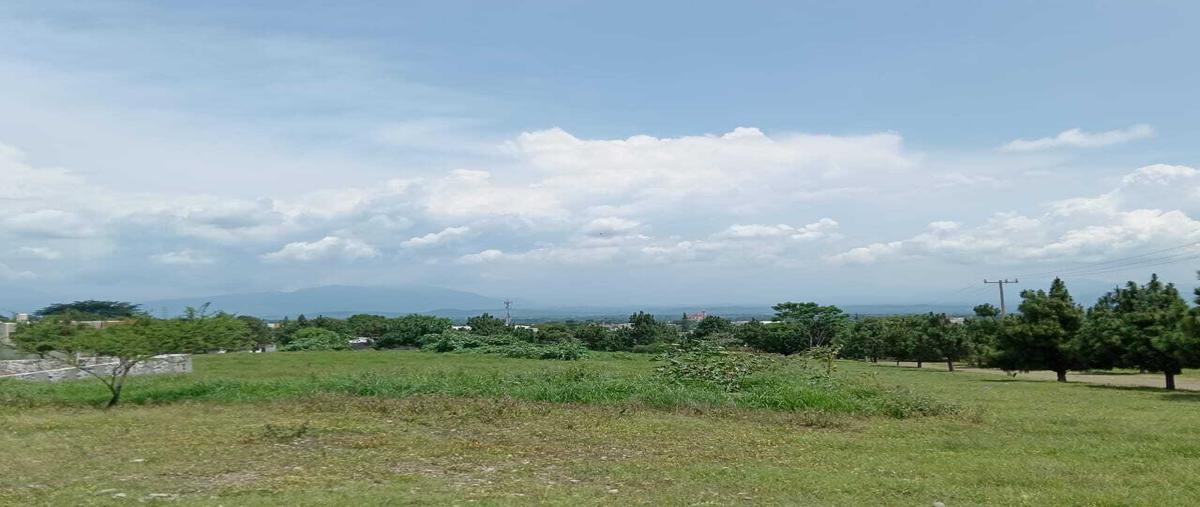 Foto de terreno habitacional en venta en  , san rafael, cuauhtémoc, colima, 0 No. 04