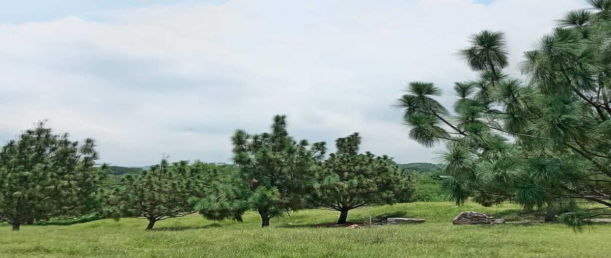 Foto de terreno habitacional en venta en  , san rafael, cuauhtémoc, colima, 0 No. 05