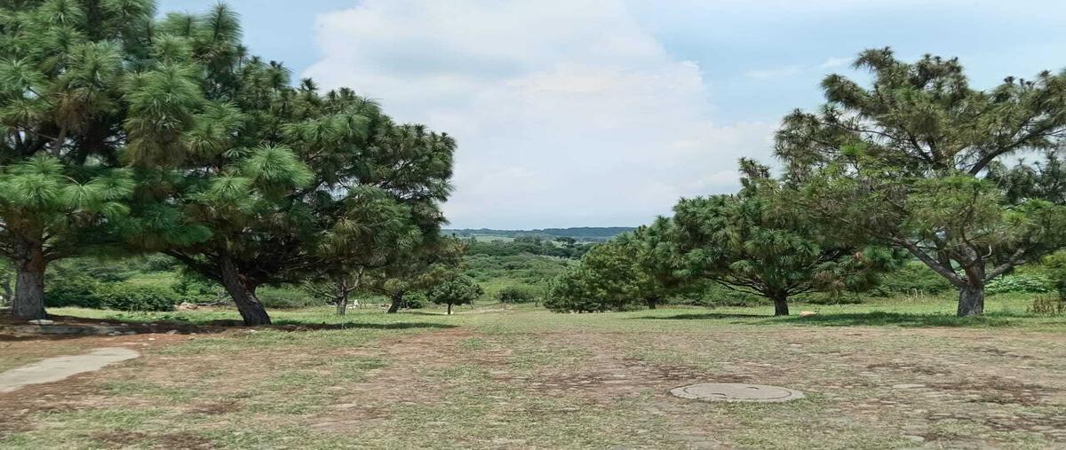 Foto de terreno habitacional en venta en  , san rafael, cuauhtémoc, colima, 0 No. 03