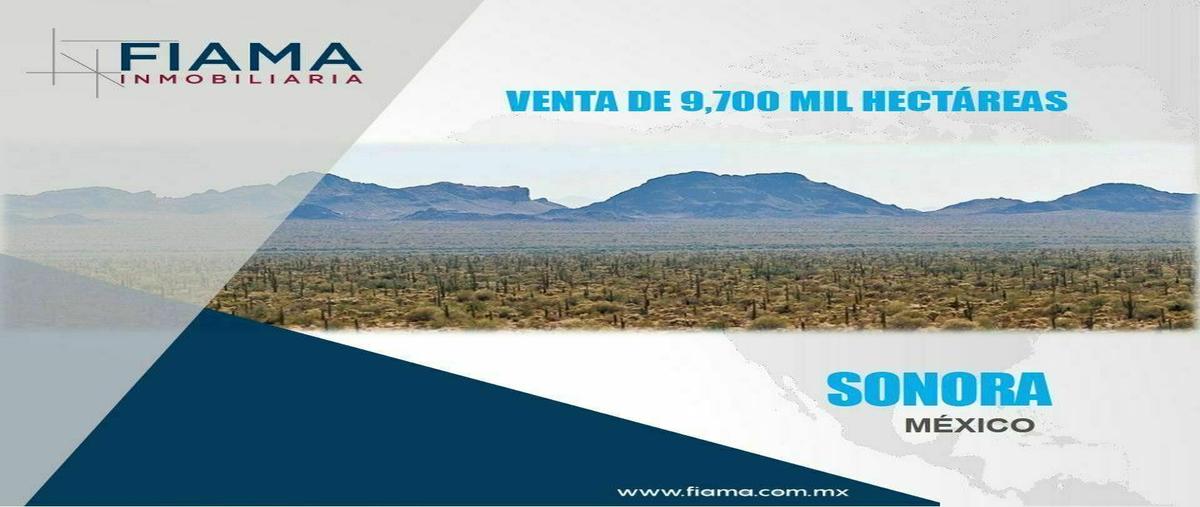 Foto de terreno habitacional en venta en  , san rafael (el choyal), puerto peñasco, sonora, 19496039 No. 02