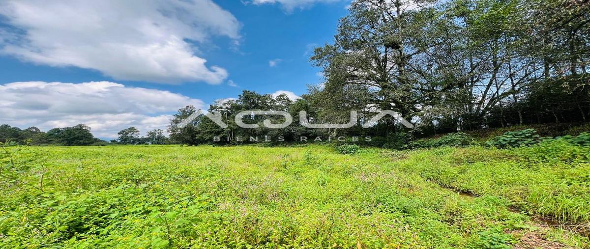Foto de terreno habitacional en venta en san ramon , los saúcos, valle de bravo, méxico, 0 No. 04