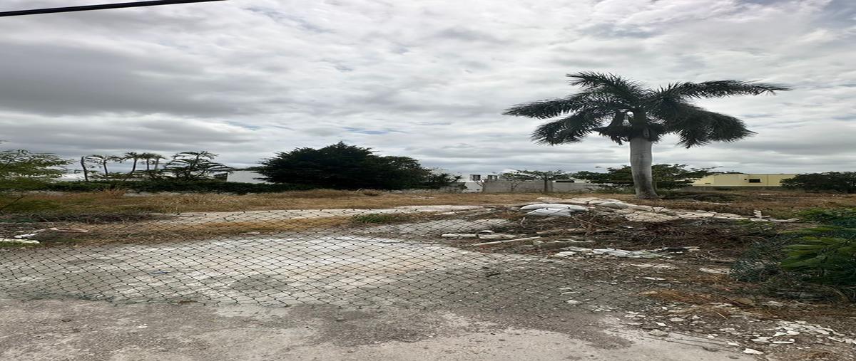 Foto de terreno habitacional en venta en  , san ramon norte i, mérida, yucatán, 0 No. 03