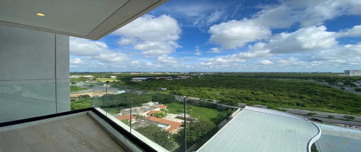 Foto de local en renta en  , san ramon norte, mérida, yucatán, 29288476 No. 05