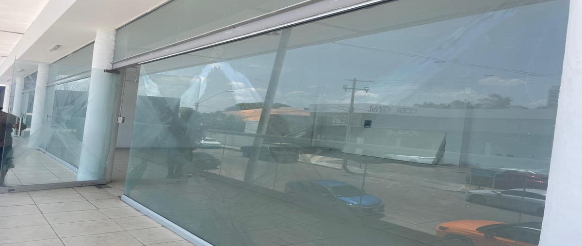 Foto de local en renta en  , san ramon norte, mérida, yucatán, 29888501 No. 03