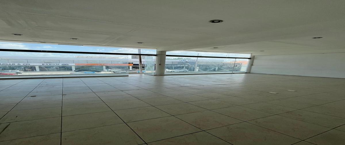 Foto de local en renta en  , san ramon norte, mérida, yucatán, 29888501 No. 05