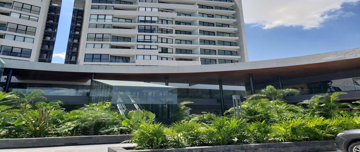 Foto de local en renta en  , san ramon norte, mérida, yucatán, 0 No. 04