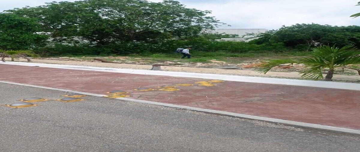 Foto de terreno habitacional en venta en  , san ramon norte, mérida, yucatán, 0 No. 04