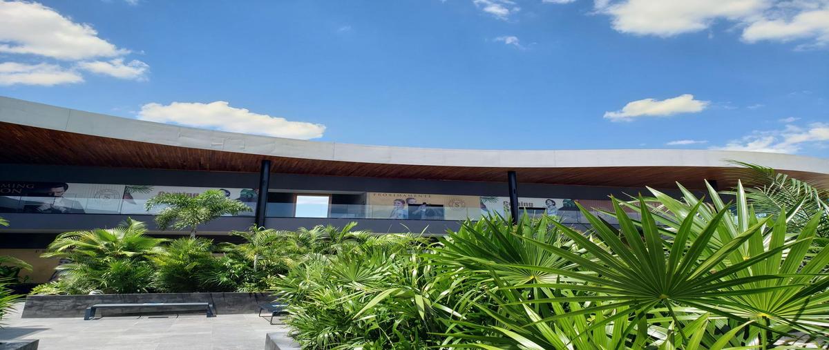 Foto de local en renta en  , san ramon norte, mérida, yucatán, 0 No. 05