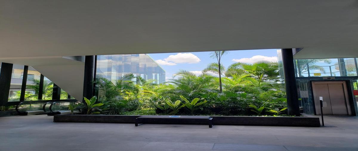 Foto de local en renta en  , san ramon norte, mérida, yucatán, 0 No. 03