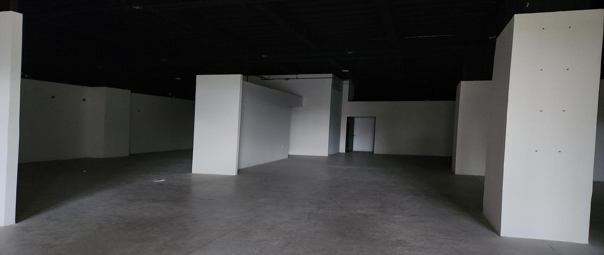 Foto de local en renta en  , san ramon norte, mérida, yucatán, 0 No. 05