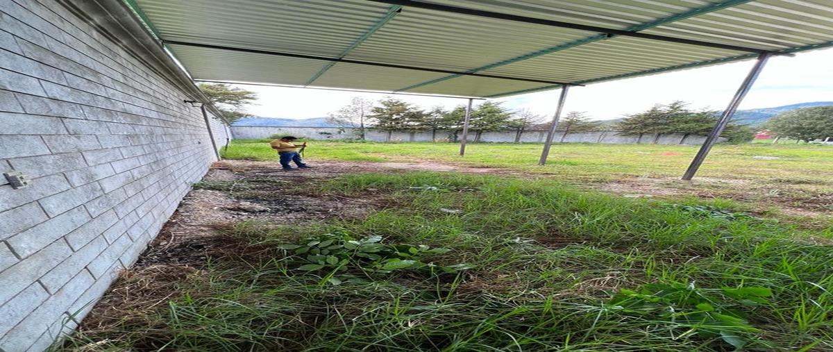 Foto de terreno habitacional en venta en san ramon whi302797, san ramón, san cristóbal de las casas, chiapas, 0 No. 05