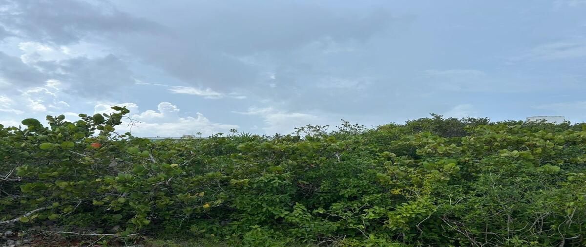 Foto de terreno habitacional en venta en san rita del mar , san diego, dzemul, yucatán, 24503110 No. 05