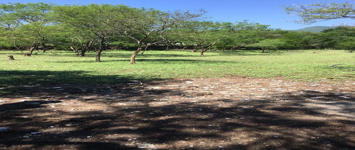 Foto de rancho en san roque juarez privada hidalgo numero 1000 , reserva de san roque, juárez, nuevo león, 27346163 foto 01 Foto de rancho en venta en san roque juarez privada hidalgo numero 1000 , reserva de san roque, juárez, nuevo león, 27346163 No. 01