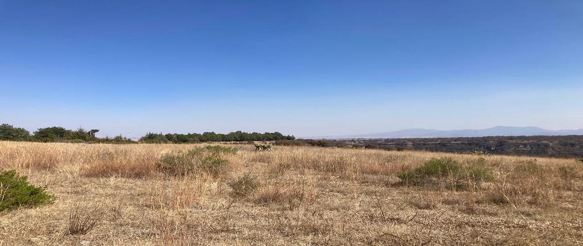 Foto de terreno habitacional en venta en  , san salvador de la laguna, villa del carbón, méxico, 0 No. 06