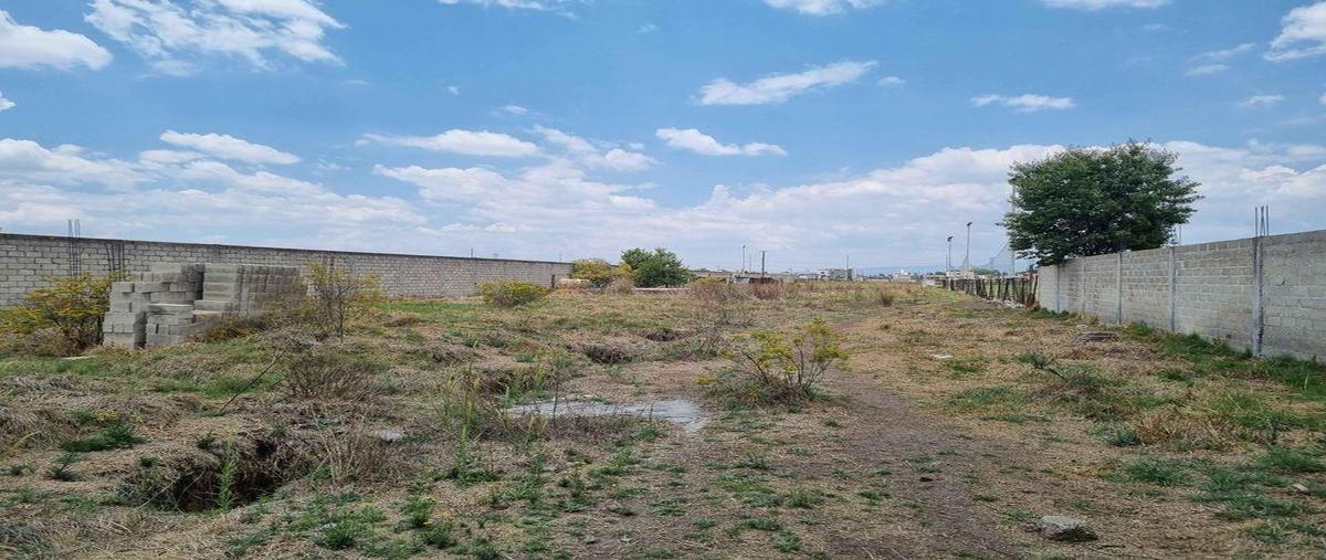 Foto de terreno habitacional en venta en  , san salvador tizatlalli, metepec, méxico, 0 No. 04