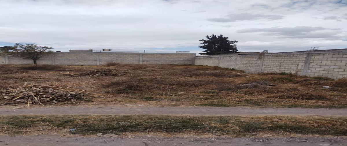 Foto de terreno habitacional en venta en san salvador tizatlalli , san salvador tizatlalli, metepec, méxico, 24873288 No. 03