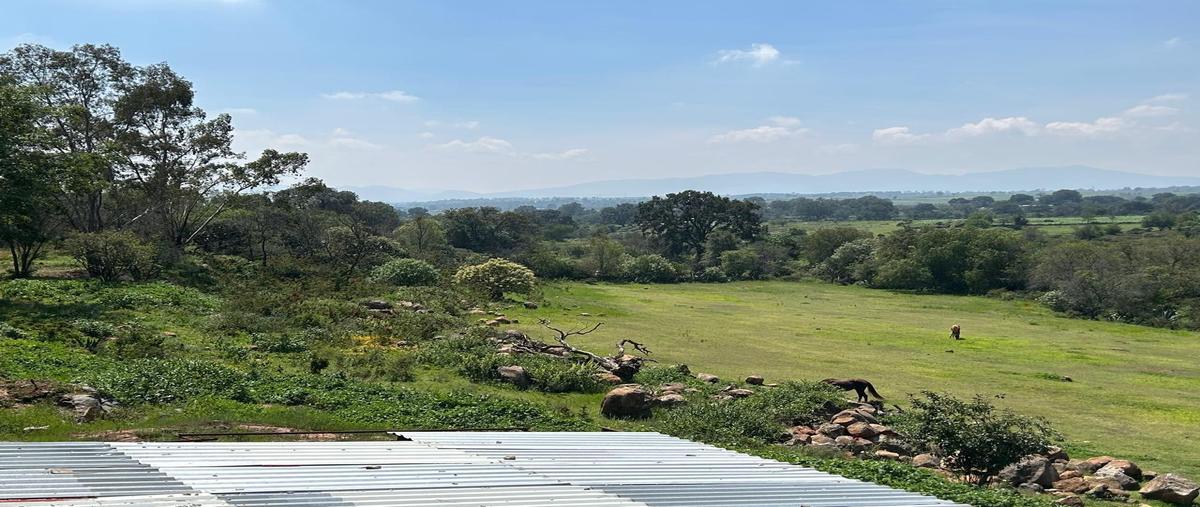 Foto de terreno habitacional en venta en  , san sebastian de juárez, jilotepec, méxico, 0 No. 03
