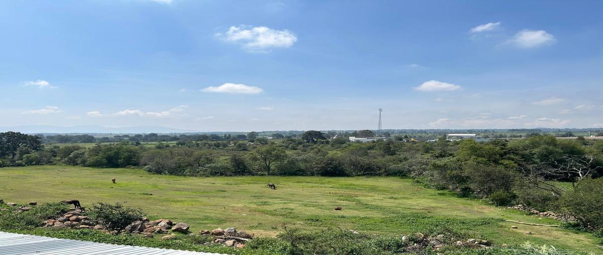 Foto de terreno habitacional en venta en  , san sebastian de juárez, jilotepec, méxico, 0 No. 04