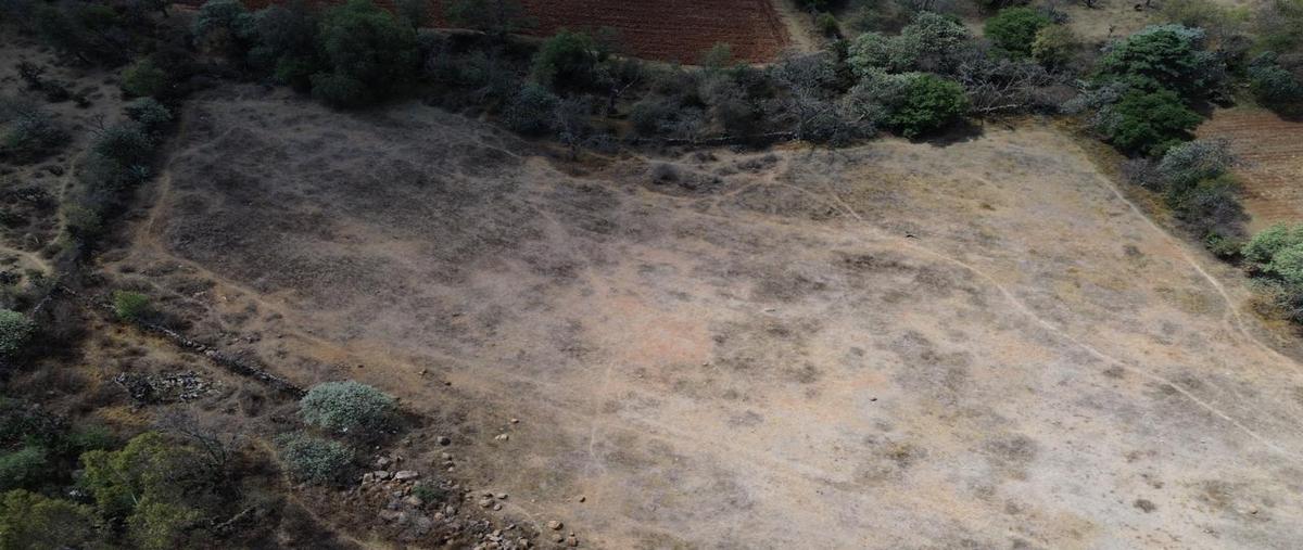 Foto de terreno habitacional en venta en  , san sebastian de juárez, jilotepec, méxico, 0 No. 05