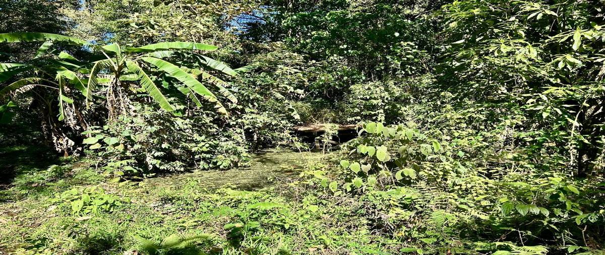 Foto de terreno habitacional en venta en  , san sebastián del oeste, san sebastián del oeste, jalisco, 28992976 No. 04